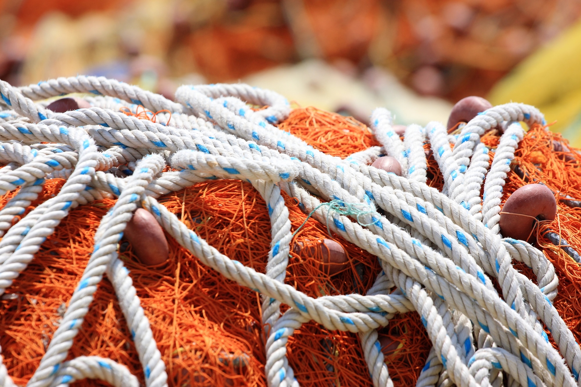 Rarest Rope £1 million for old rope | Aula di lingue