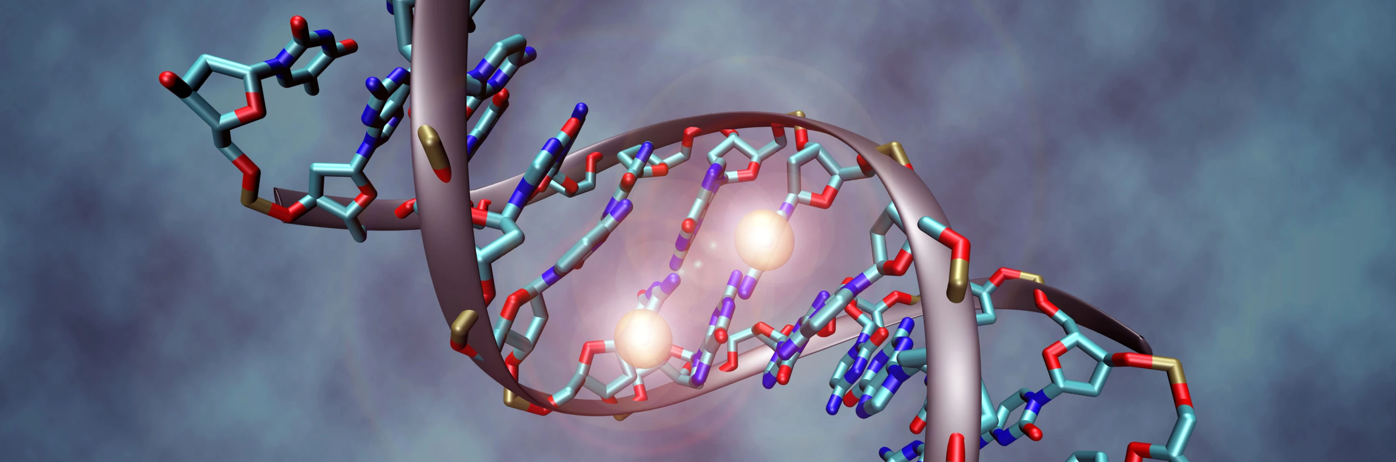 Nuovi dettagli sulla duplicazione del DNA | Aula di scienze